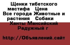 Щенки тибетского мастифа › Цена ­ 80 - Все города Животные и растения » Собаки   . Ханты-Мансийский,Радужный г.